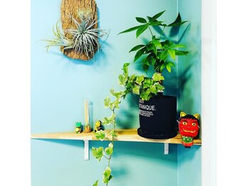 グリーン 宇都宮店(green)/店内には緑がいっぱいです(*^^*)