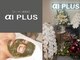 エーアイプラス(αI PLUS)の写真