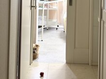 リリー(Lily)/お客様撮影♪