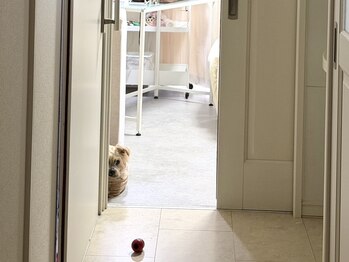 リリー(Lily)/お客様撮影♪