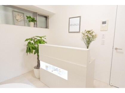 スターティス(STATICE)の写真