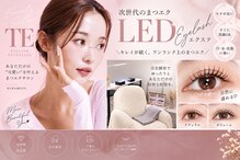 ティーイー(TE)