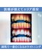 スマイルホワイト 練馬店の写真/しっかり白く、リーズナブルに白くするなら医療提携ホワイトニング・スマイルホワイトにお任せください！