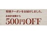 【口コミ投稿者限定】どのクーポンでも併用可能◎ ¥500 OFF