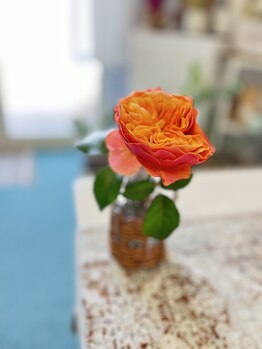 マシュマロハンド/よもぎ蒸し/冷え/むくみ改善