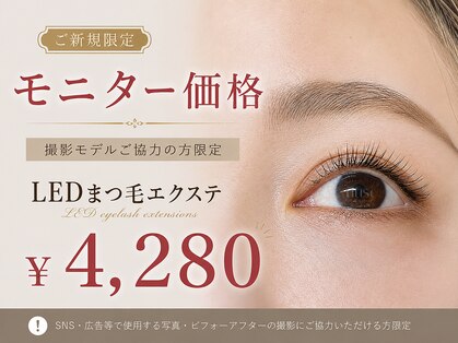 ミューズ(MUSE)の写真