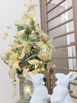アイラッシュ ラビット(Eyelash Rabbit)/店内＊クリスマス