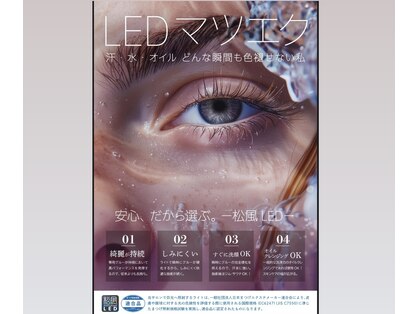ニーヨンアイラッシュ(24eyelash)の写真