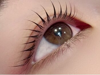 レイアイラッシュサロン 研究学園店(Ray Eyelash Salon)の写真/【最新人気】ティントまつ毛パーマも可能◎お悩みをお伺いし、お客様の目の形に合ったデザインをご提案◎