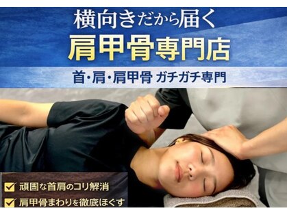 モミ(MOMI)の写真