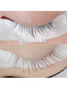 ラプリュネル(la prunelle)/カラーフラットラッシュ