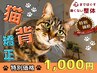 【猫背・肩こり・反り腰でお悩みの方☆】姿勢改善コース