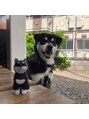 小顔フェイスラボ 横浜店(小顔FaceLabo.) わんちゃん大好きです!実家で飼っているワンちゃんです♪