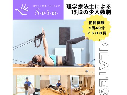 ソラ(Sora)の写真