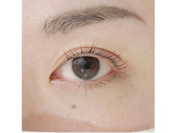 フランセス(Frances)/ラッシュリフト