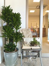 ゆたかバランス整骨院/整体院の風除室の植物２