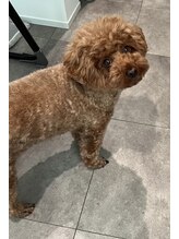 ハニー(Honey)&nbsp;なら ちゃん