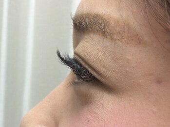 シュシュ(chou chou)/セーブル140本(chouchou吉祥寺)