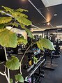 クレアシア フィットネス ジム(CREAXIA FITNESS GYM)/CREAXIA FITNESSGYM