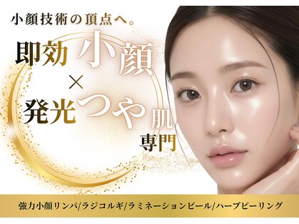 クラッシーガール ダンディエール(QlassyGirl DANDYELL)の写真