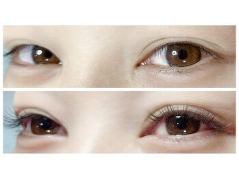 カリーノ(Carino)/ダブルフラットラッシュ