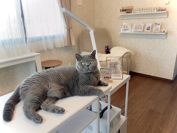 ミネット(nail Minette)