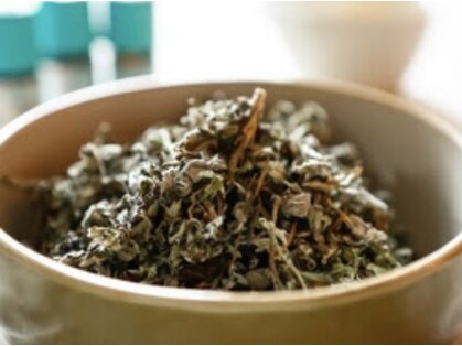 メリッサ(MELISSA)の写真