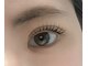 リノア(Linore)の写真