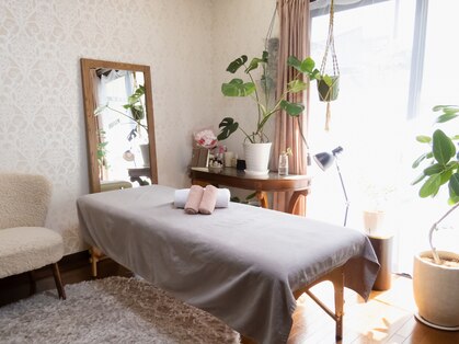 ネリネ(Nerine)の写真