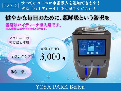 ヨサパーク ビリュウ(YOSA PARK Bellyu)の写真