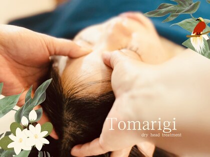 とまりぎの写真