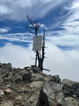 こりとりふぁーむ 松阪マックスバリュ学園前店&nbsp;成川 【女】