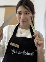 サントリナ リリー(Santolina Lily) Mio