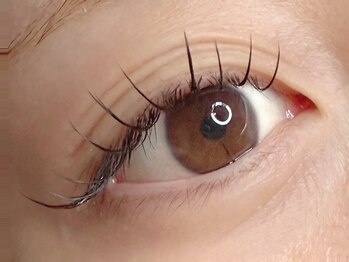 ラシク ゼロ 草加駅前(Lashiku Zero)/フラット120本