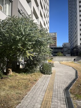 フェイスアップ 熱田店(face up)/お店への小道です。