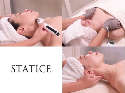 スターティス(STATICE)の写真