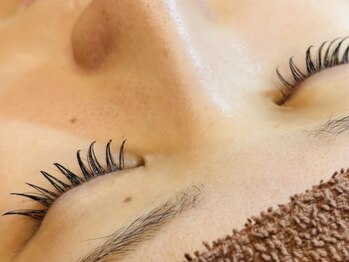 イルファ ビューティー(ehl fa Beauty)/フラットラッシュ120本　宮尾