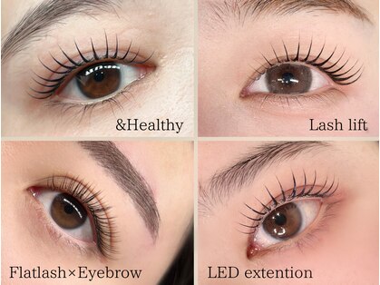 リラ(Lila)の写真