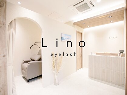 リノ(Lino)の写真