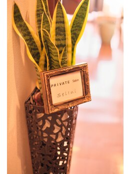 セリーニ(Selini)/セリーニにようこそ♪ /毛穴洗浄