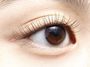 ディーエル ビューティー 武蔵小杉店(DL BEAUTY)/40本装着イメージ（横）