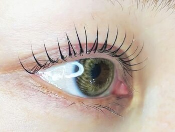 ベルベットアイズ 西宮北口(Velvet eyes)の写真/《素まつげで、ここまで美しい》丁寧なカウンセリングで一人ひとりに合わせたデザインをご提案いたします＊