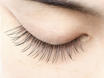 ディーエル ビューティー 武蔵小杉店(DL BEAUTY)/40本装着イメージ（閉じ）