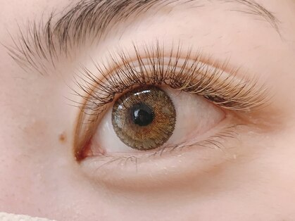 ペタル(petale)の写真