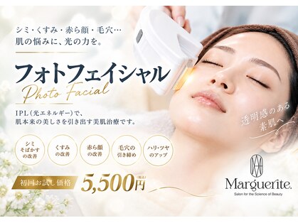 マルグリット(Marguerite.)の写真