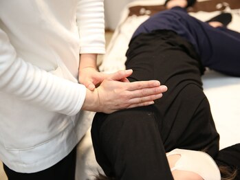 ビコツプロ(Bikotsu Pro)/