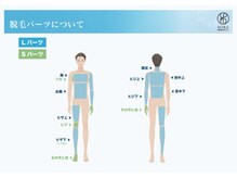 ソラ(SORA)/男性パーツ表