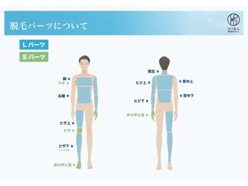ソラ(SORA)/男性パーツ表