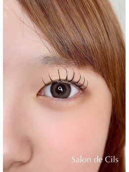 サロン ド シル(Salon de Cils)/フラットラッシュ 100本