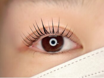 ポレポレ(polepole)/パリジェンヌラッシュリフト